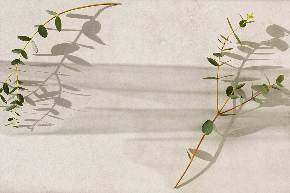 Anwendungsgebiete Fussreflexzonenmassage